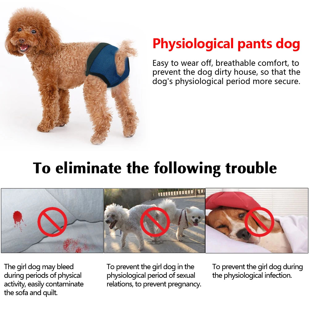 Soft Dog Diaper Pant Reusable Physiological Pants Washable Female Male Dogs Shorts Absorbent Pets Underwear Sanitary Panties