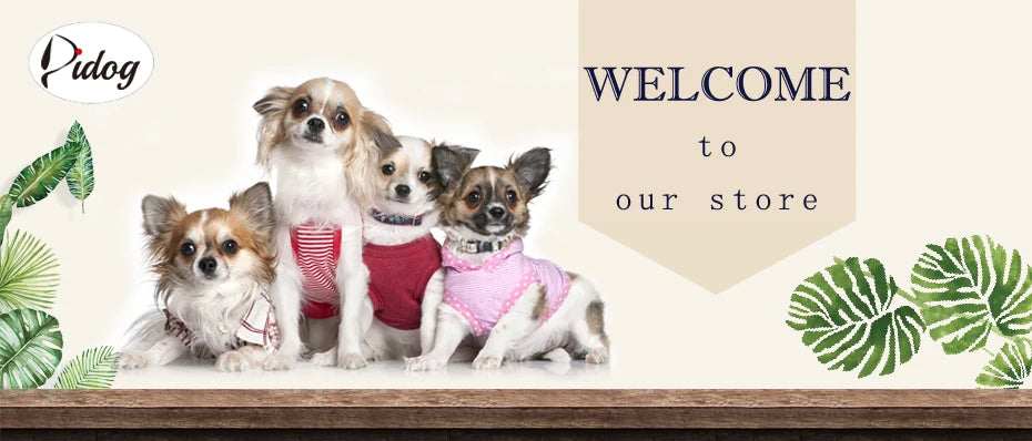 Reusable Dog Diaper Pant Physiological Pants Washable Female Girl Dogs Shorts Pants Absorbent Pets Underwear Sanitary Panties