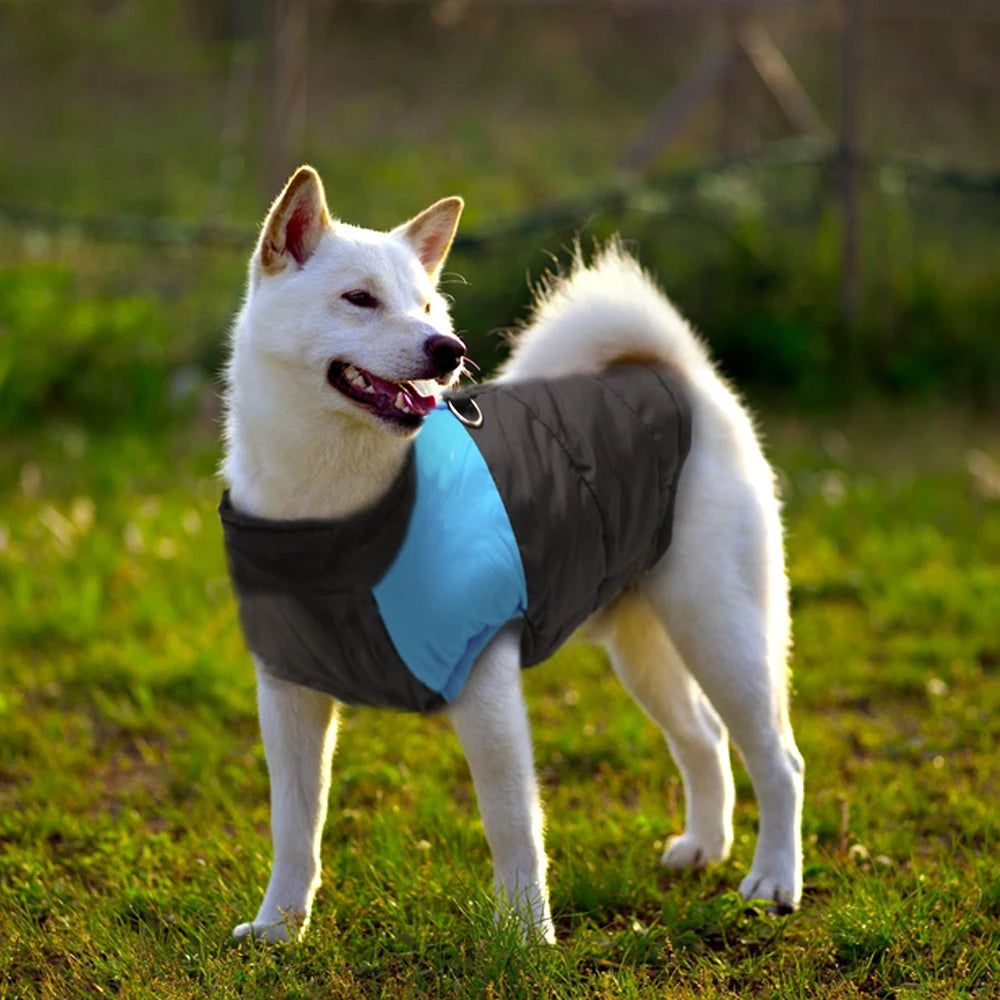 Winter Dog Clothes Coat Waterproof Warm Pet Vest Jacket Chihuahua French Bulldog Clothes Small Dogs roupas para cachorro
