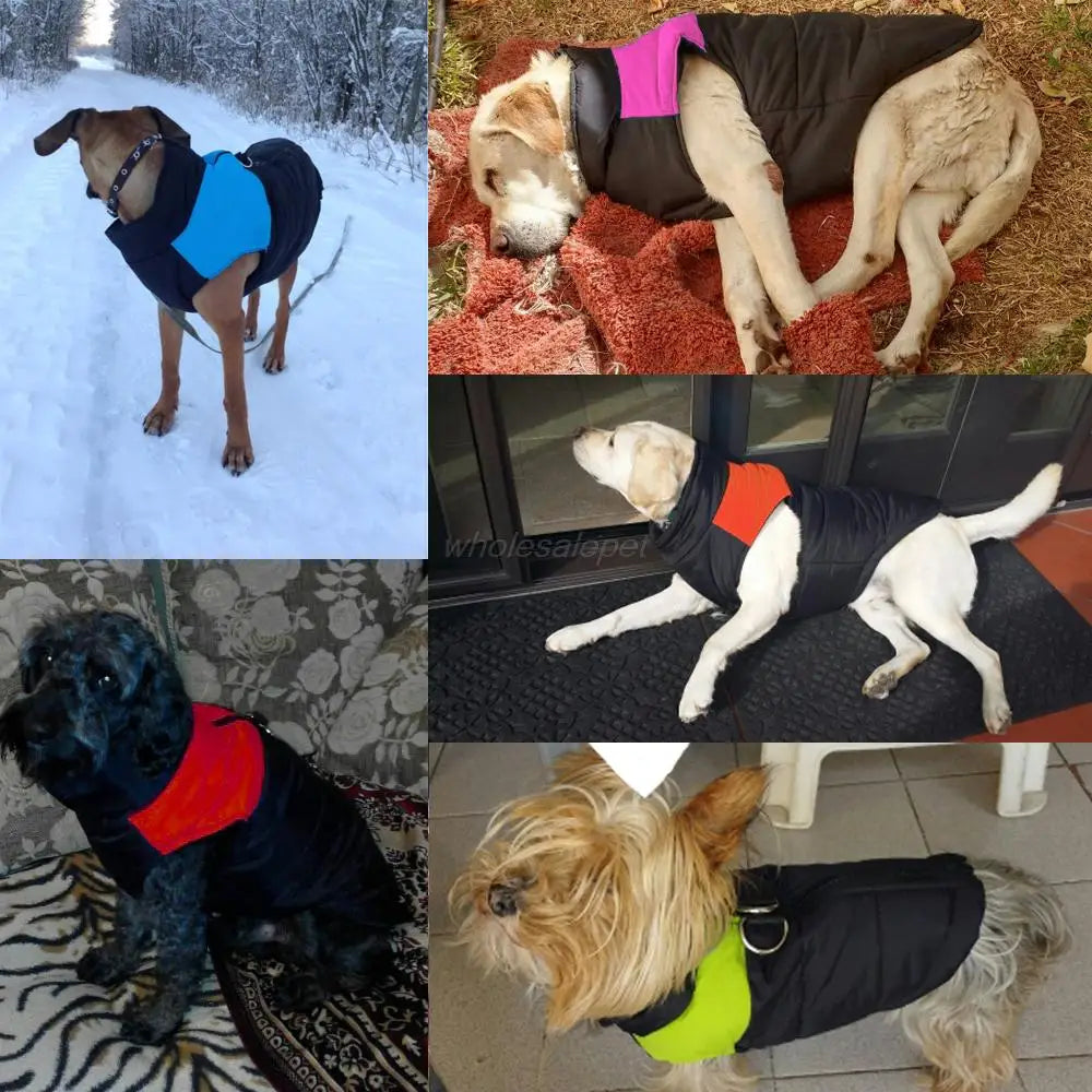 Winter Dog Clothes Coat Waterproof Warm Pet Vest Jacket Chihuahua French Bulldog Clothes Small Dogs roupas para cachorro