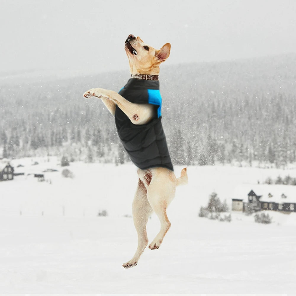 Winter Dog Clothes Coat Waterproof Warm Pet Vest Jacket Chihuahua French Bulldog Clothes Small Dogs roupas para cachorro