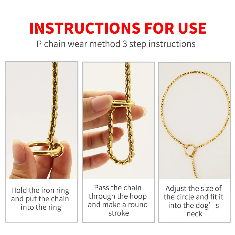 2IN1 Dog Chain Collar Leash 304 Stainless Steel Dog Metal Collar Choke Silver Gold Pet Lead Rope With Leather Handle For Show