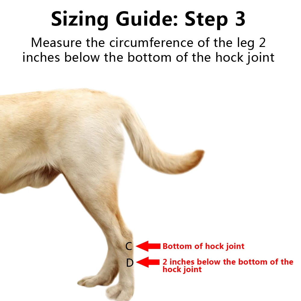 2pcs/pair Dog Injury Knee Pad Rear Leg Hock Joint Brace Pet Canine Back Legs Support Dogs Ankle Safety Heal Band Wrap Protector