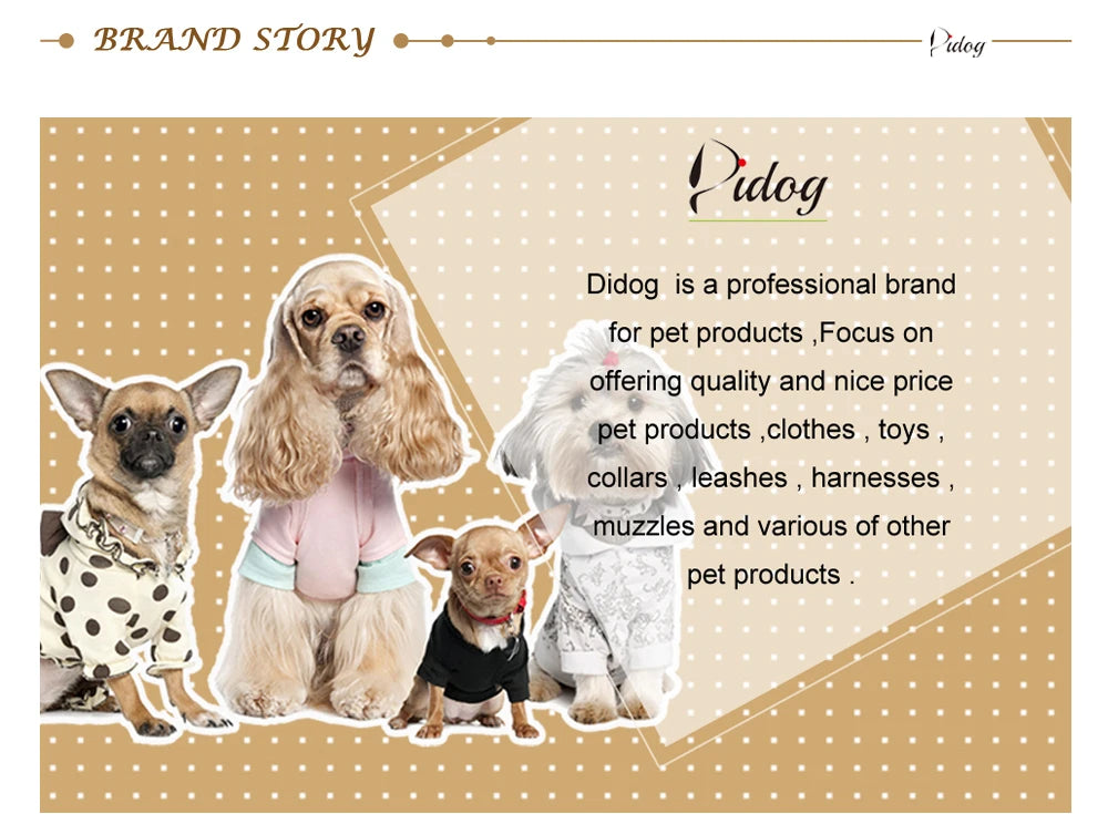 Reusable Dog Diaper Pant Physiological Pants Washable Female Girl Dogs Shorts Pants Absorbent Pets Underwear Sanitary Panties