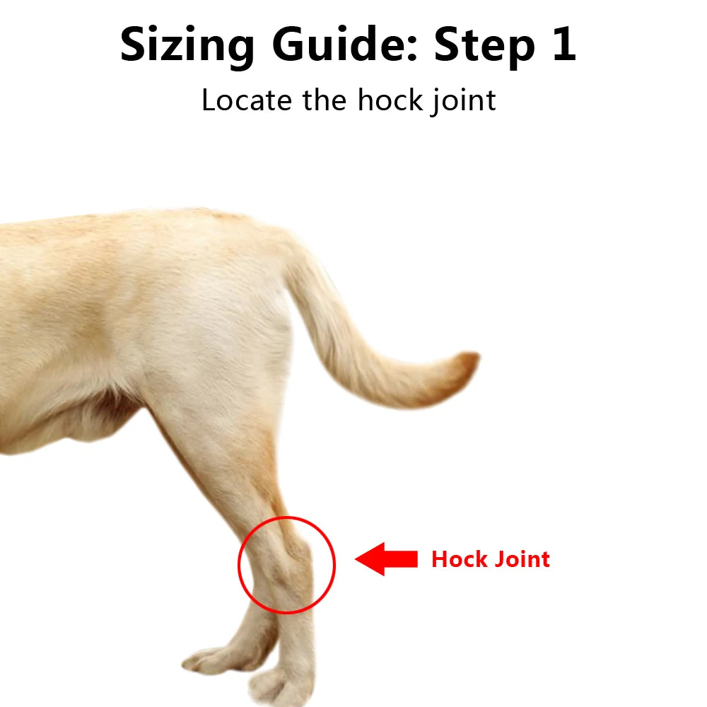 2pcs/pair Dog Injury Knee Pad Rear Leg Hock Joint Brace Pet Canine Back Legs Support Dogs Ankle Safety Heal Band Wrap Protector