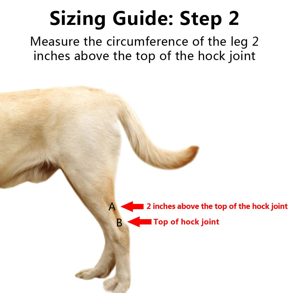 2pcs/pair Dog Injury Knee Pad Rear Leg Hock Joint Brace Pet Canine Back Legs Support Dogs Ankle Safety Heal Band Wrap Protector