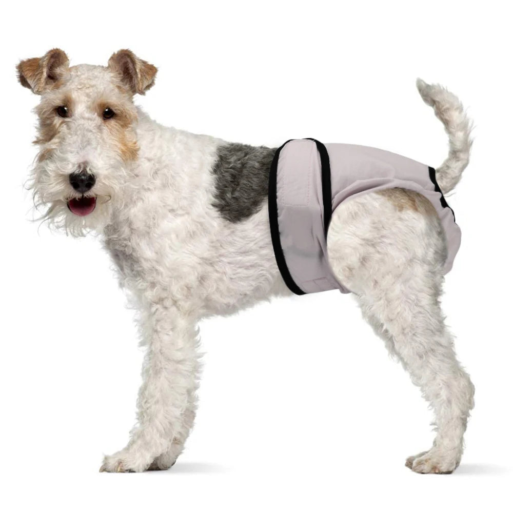 Reusable Dog Diaper Pant Physiological Pants Washable Female Girl Dogs Shorts Pants Absorbent Pets Underwear Sanitary Panties