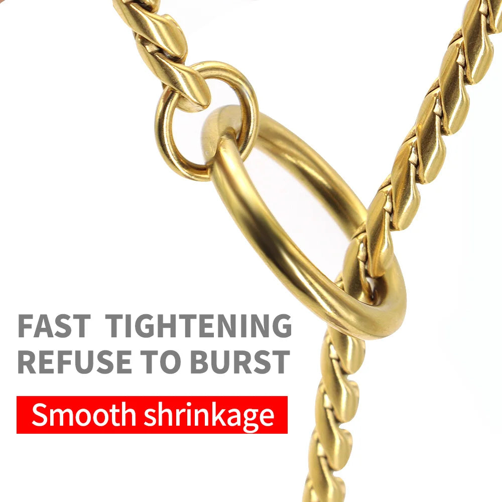 2IN1 Dog Chain Collar Leash 304 Stainless Steel Dog Metal Collar Choke Silver Gold Pet Lead Rope With Leather Handle For Show