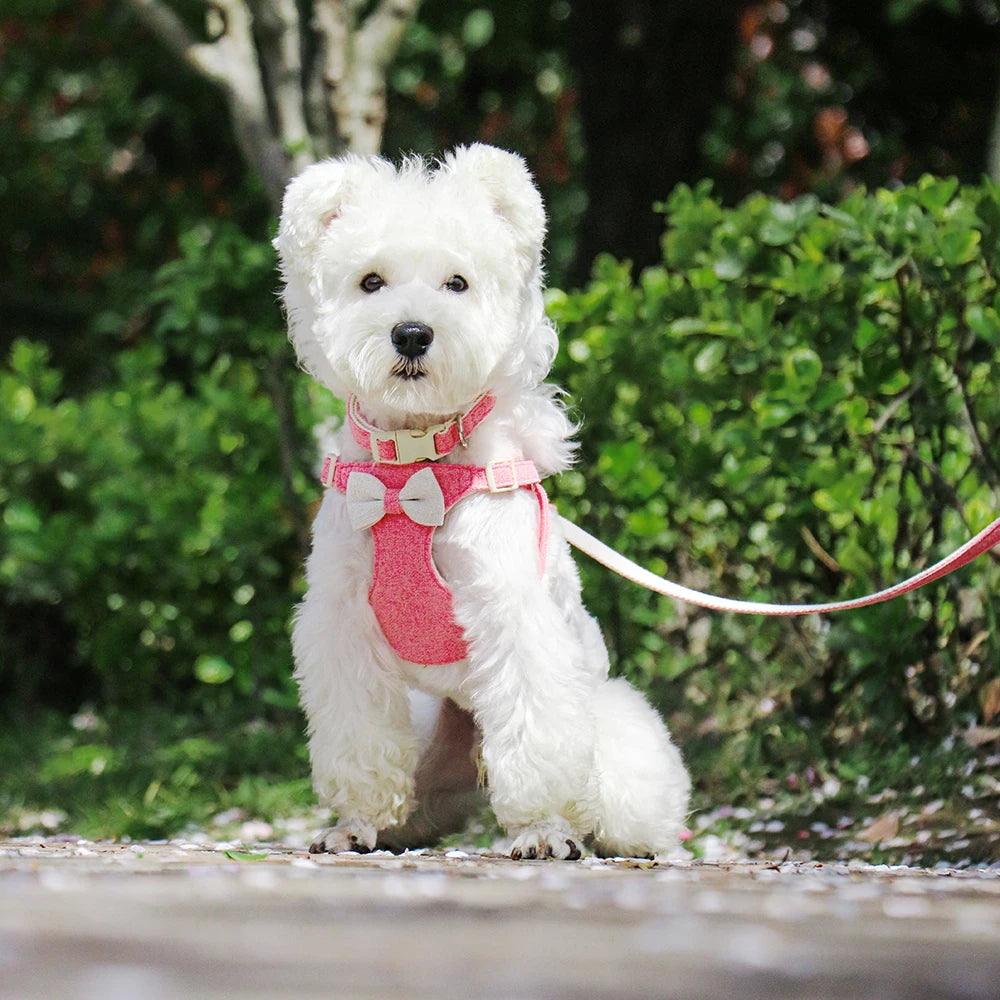 Nylon Dog Collar Harness Leash Cute Bowtie Puppy Dogs Harnesses Adjustable Pet Collars Vest With Lead for Small Medium Dogs Pug