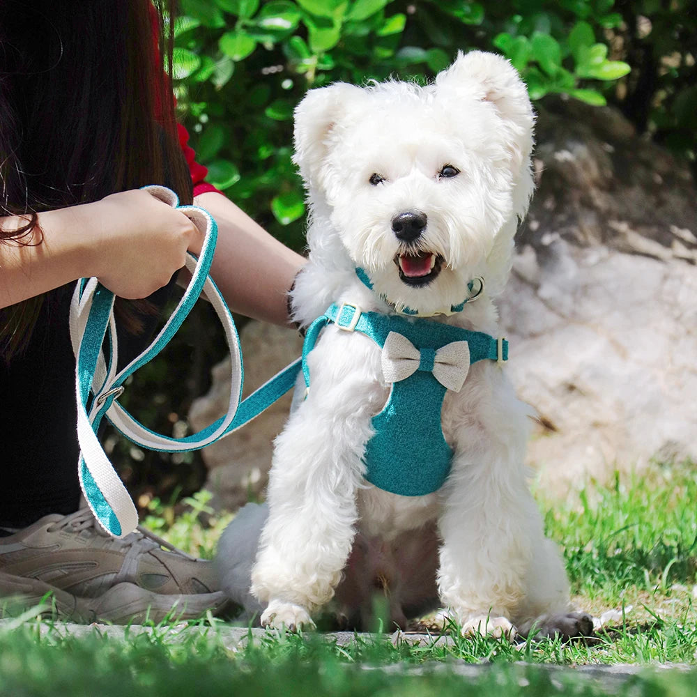 Nylon Dog Collar Harness Leash Cute Bowtie Puppy Dogs Harnesses Adjustable Pet Collars Vest With Lead for Small Medium Dogs Pug