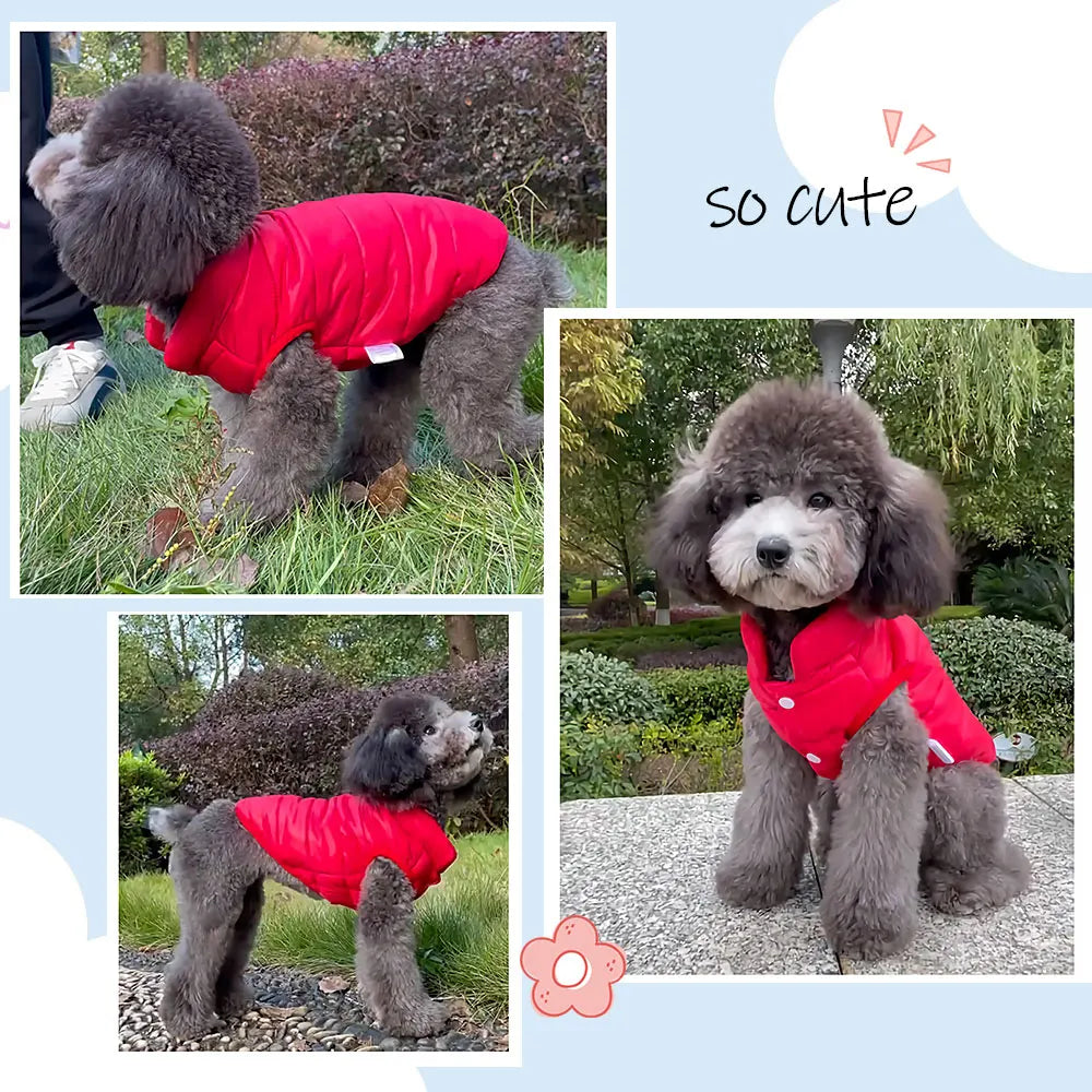 Small Dog Clothes Warm Pet Cat Puppy Coats Down Jacket  Winter Dog Kitten Clothing For Small Medium Dogs Chihuahua  Pet Costume