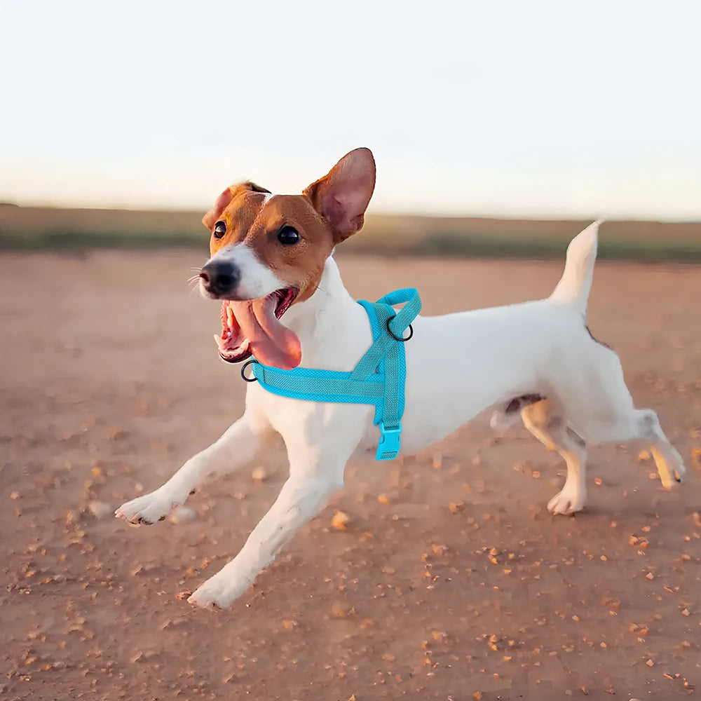 No Pull Nylon Dog Harness Reflective Dog Harnesses Mesh Breathable Pet Vests Quick Control for Small Medium Large Dogs Bulldog